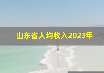 山东省人均收入2023年