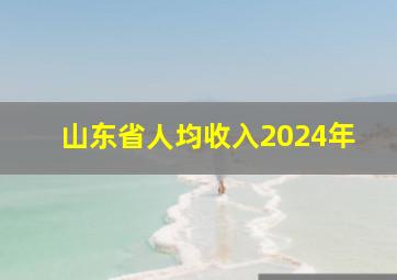 山东省人均收入2024年