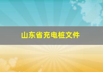 山东省充电桩文件