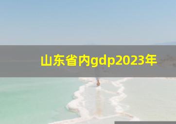 山东省内gdp2023年