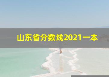 山东省分数线2021一本