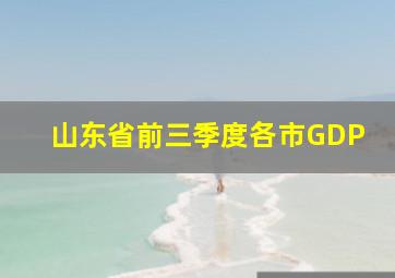 山东省前三季度各市GDP