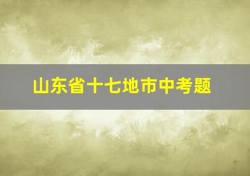 山东省十七地市中考题