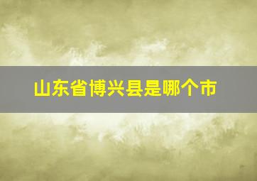 山东省博兴县是哪个市