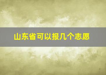 山东省可以报几个志愿