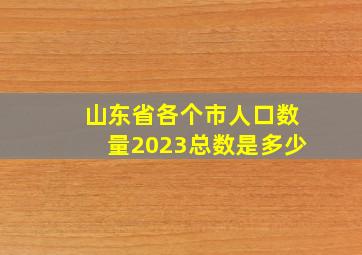 山东省各个市人口数量2023总数是多少