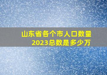 山东省各个市人口数量2023总数是多少万