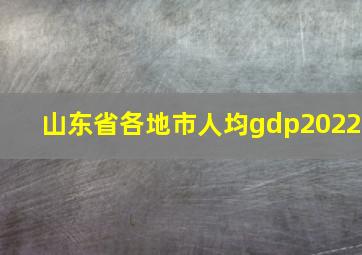 山东省各地市人均gdp2022