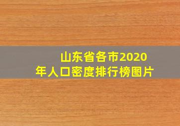 山东省各市2020年人口密度排行榜图片