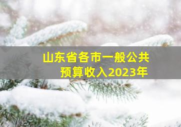 山东省各市一般公共预算收入2023年