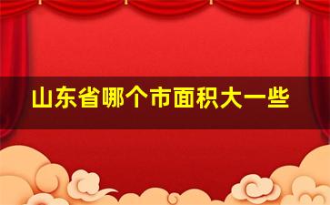 山东省哪个市面积大一些