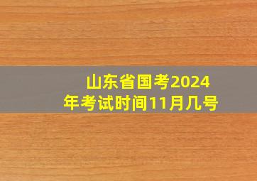 山东省国考2024年考试时间11月几号