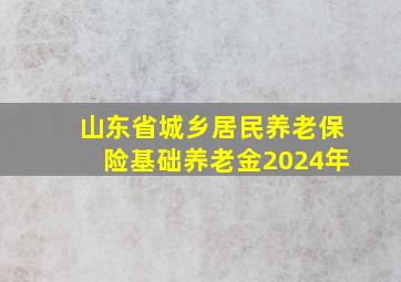 山东省城乡居民养老保险基础养老金2024年