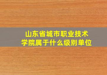 山东省城市职业技术学院属于什么级别单位