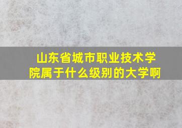 山东省城市职业技术学院属于什么级别的大学啊