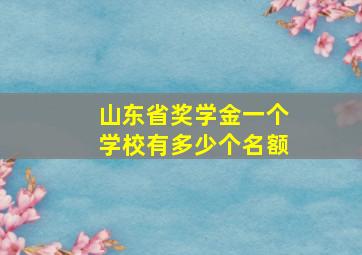 山东省奖学金一个学校有多少个名额