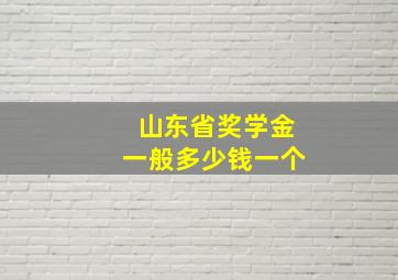 山东省奖学金一般多少钱一个