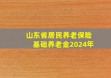 山东省居民养老保险基础养老金2024年