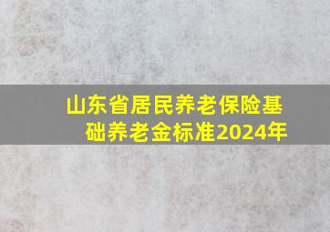 山东省居民养老保险基础养老金标准2024年