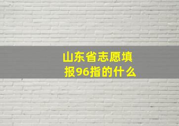 山东省志愿填报96指的什么