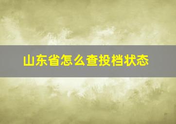 山东省怎么查投档状态