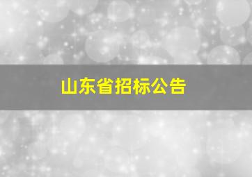 山东省招标公告