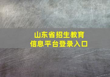 山东省招生教育信息平台登录入口