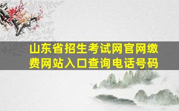 山东省招生考试网官网缴费网站入口查询电话号码