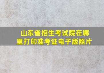 山东省招生考试院在哪里打印准考证电子版照片