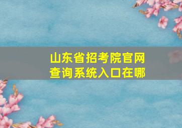 山东省招考院官网查询系统入口在哪