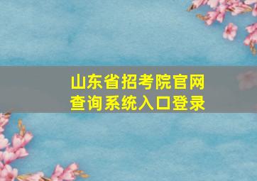 山东省招考院官网查询系统入口登录