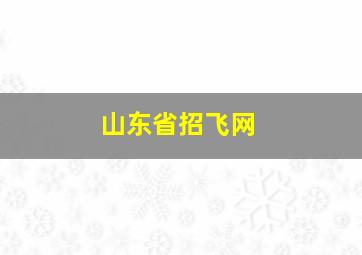 山东省招飞网