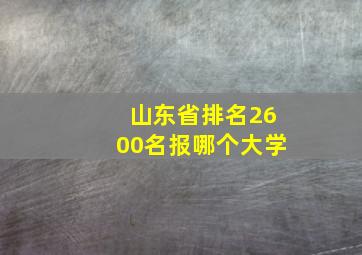 山东省排名2600名报哪个大学