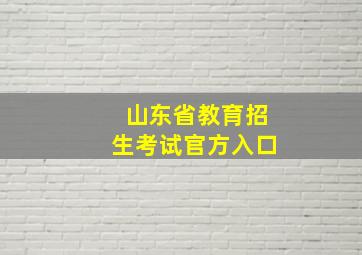 山东省教育招生考试官方入口