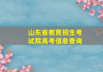 山东省教育招生考试院高考信息查询