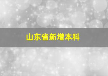 山东省新增本科