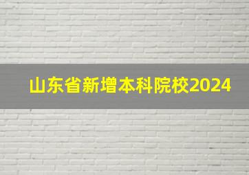 山东省新增本科院校2024