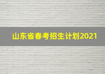 山东省春考招生计划2021