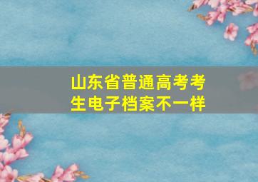 山东省普通高考考生电子档案不一样