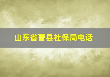 山东省曹县社保局电话