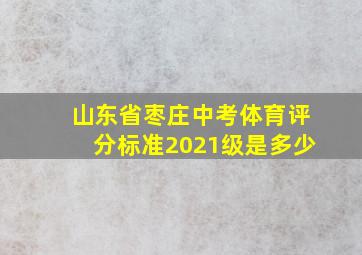 山东省枣庄中考体育评分标准2021级是多少