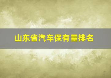 山东省汽车保有量排名