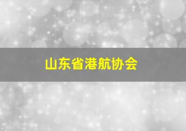 山东省港航协会