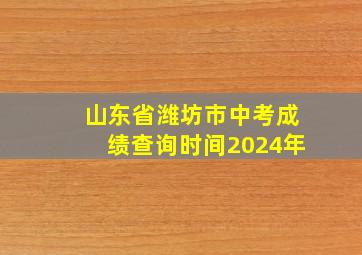 山东省潍坊市中考成绩查询时间2024年