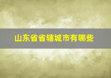 山东省省辖城市有哪些