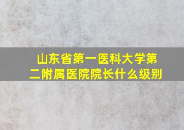 山东省第一医科大学第二附属医院院长什么级别