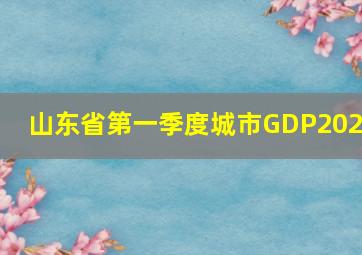 山东省第一季度城市GDP2024