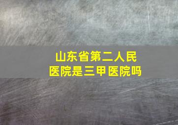 山东省第二人民医院是三甲医院吗