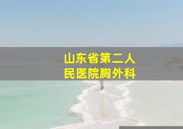 山东省第二人民医院胸外科