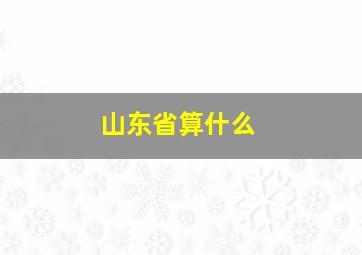 山东省算什么